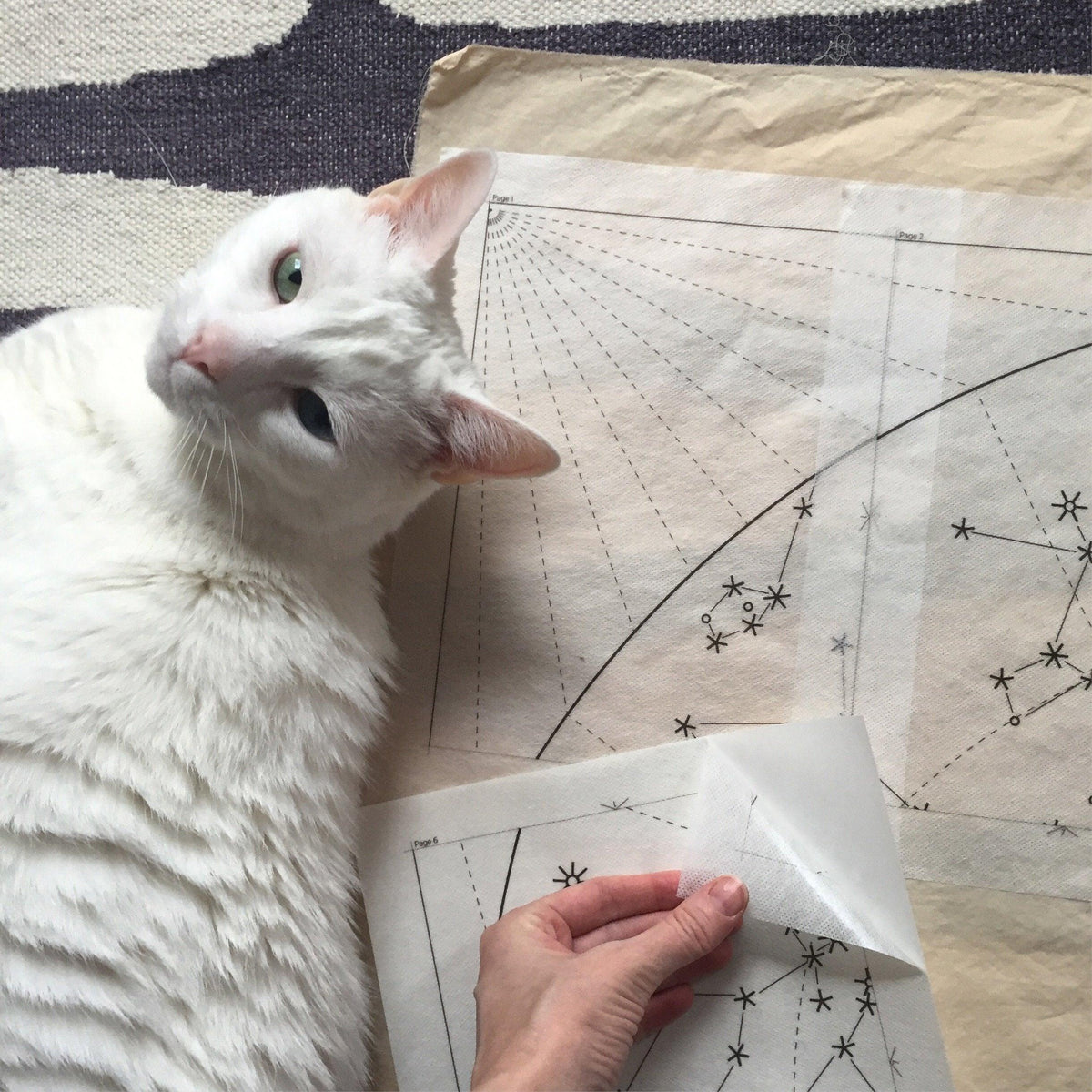 Print-At-Home Diy Quilt - Constellation Kits